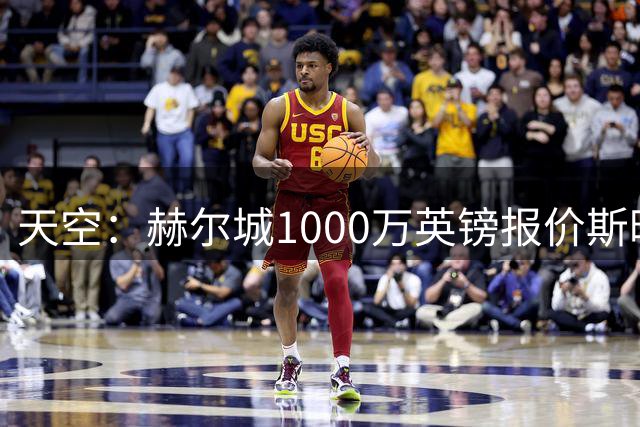 天空：赫尔城1000万英镑报价斯旺西前锋维波特尼克遭拒